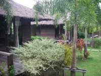 Well designed and kept gardens