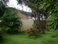 Botanical garden view